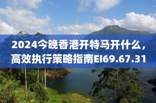 2024今晚香港开特马开什么，高效执行策略指南EI69.67.31