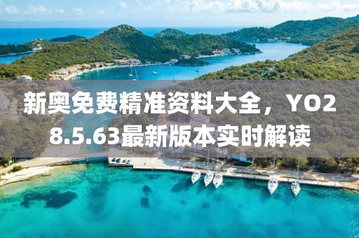 新奥免费精准资料大全，YO28.5.63最新版本实时解读