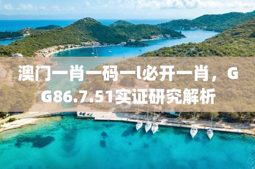 澳门一肖一码一l必开一肖，GG86.7.51实证研究解析