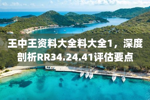 王中王资料大全料大全1，深度剖析RR34.24.41评估要点