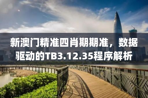 新澳门精准四肖期期准，数据驱动的TB3.12.35程序解析