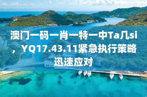 澳门一码一肖一特一中Ta几si，YQ17.43.11紧急执行策略迅速应对