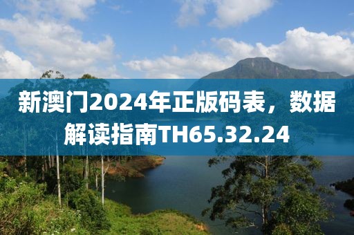 新澳门2024年正版码表，数据解读指南TH65.32.24