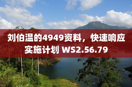 刘伯温的4949资料，快速响应实施计划 WS2.56.79