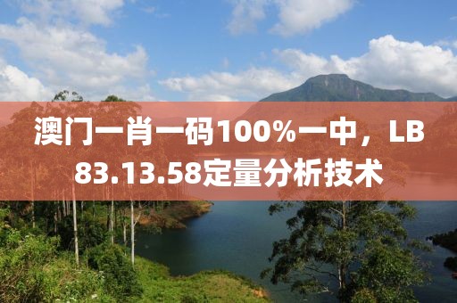 澳门一肖一码100%一中，LB83.13.58定量分析技术
