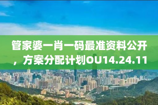 管家婆一肖一码最准资料公开，方案分配计划OU14.24.11
