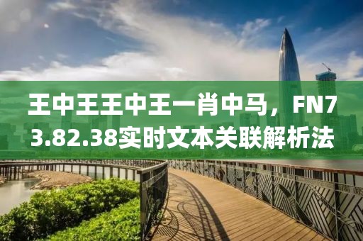 王中王王中王一肖中马，FN73.82.38实时文本关联解析法