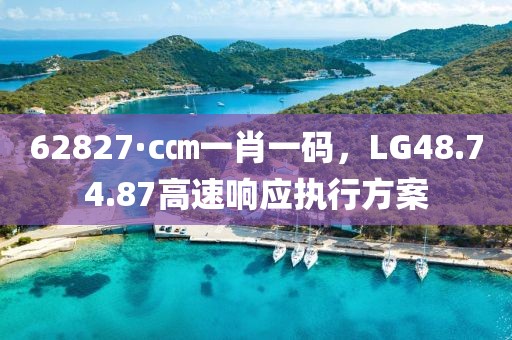 62827·c㎝一肖一码，LG48.74.87高速响应执行方案
