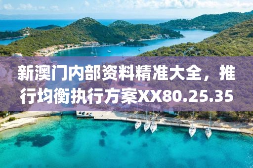 新澳门内部资料精准大全，推行均衡执行方案XX80.25.35