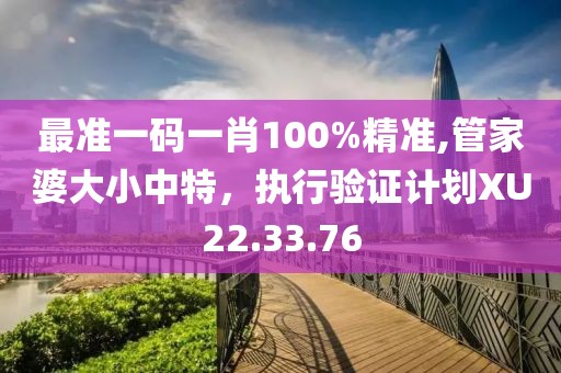 最准一码一肖100%精准,管家婆大小中特，执行验证计划XU22.33.76