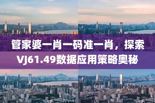 管家婆一肖一码准一肖，探索VJ61.49数据应用策略奥秘