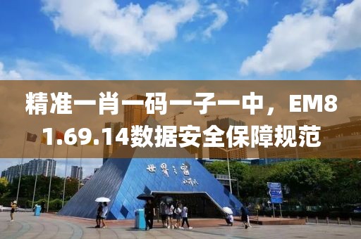 精准一肖一码一子一中，EM81.69.14数据安全保障规范