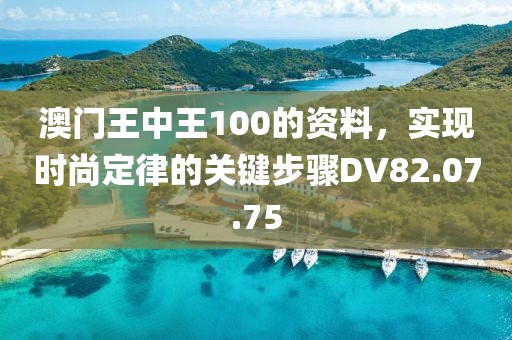 澳门王中王100的资料，实现时尚定律的关键步骤DV82.07.75