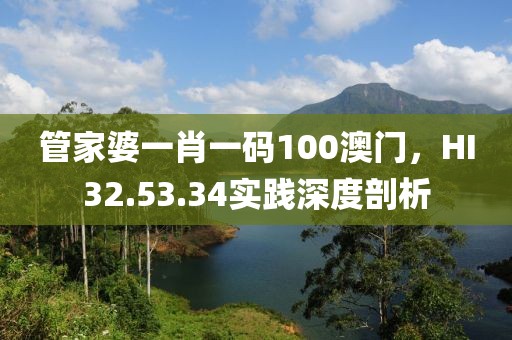 管家婆一肖一码100澳门，HI32.53.34实践深度剖析