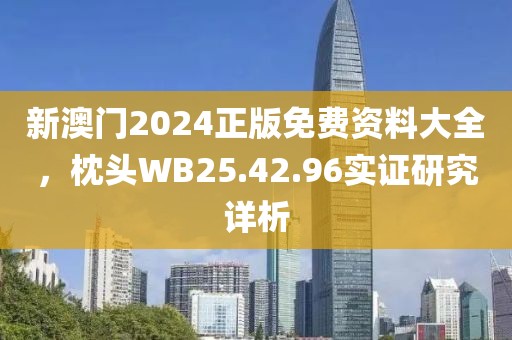 新澳门2024正版免费资料大全，枕头WB25.42.96实证研究详析