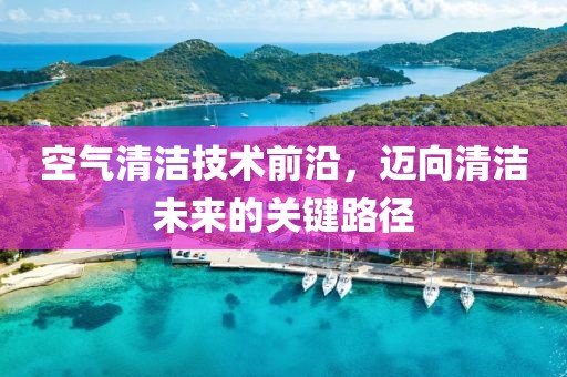 空气清洁技术前沿，迈向清洁未来的关键路径