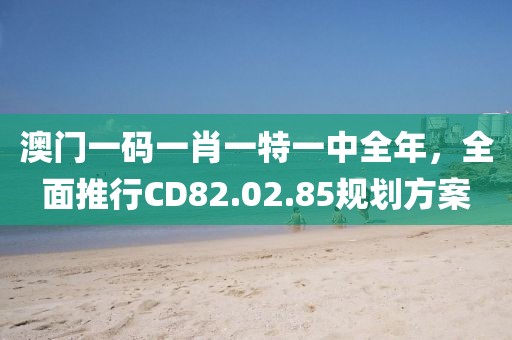 澳门一码一肖一特一中全年，全面推行CD82.02.85规划方案