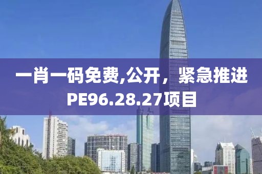 一肖一码免费,公开，紧急推进PE96.28.27项目