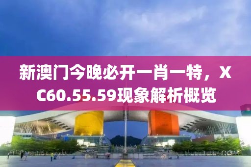 新澳门今晚必开一肖一特，XC60.55.59现象解析概览