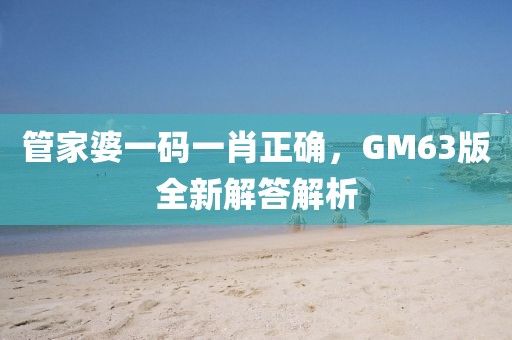 管家婆一码一肖正确，GM63版全新解答解析