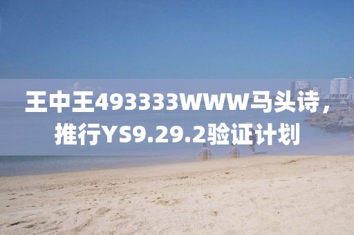 王中王493333WWW马头诗，推行YS9.29.2验证计划