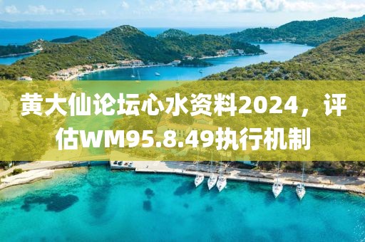 黄大仙论坛心水资料2024，评估WM95.8.49执行机制