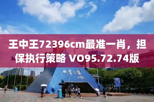 王中王72396cm最准一肖，担保执行策略 VO95.72.74版