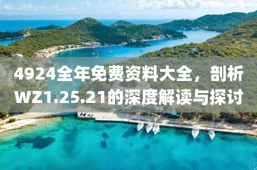 4924全年免费资料大全，剖析WZ1.25.21的深度解读与探讨