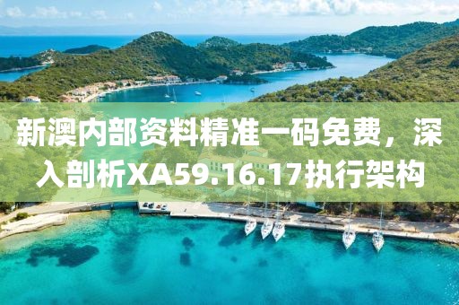 新澳内部资料精准一码免费，深入剖析XA59.16.17执行架构