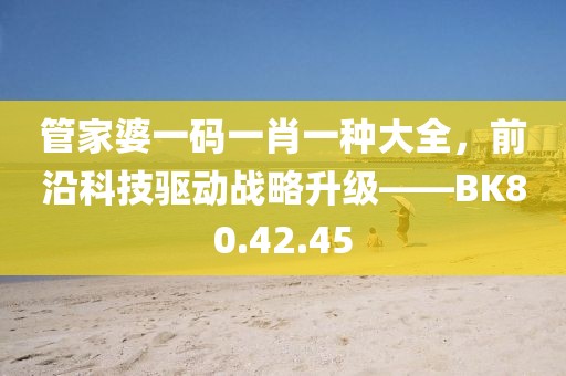 管家婆一码一肖一种大全，前沿科技驱动战略升级——BK80.42.45