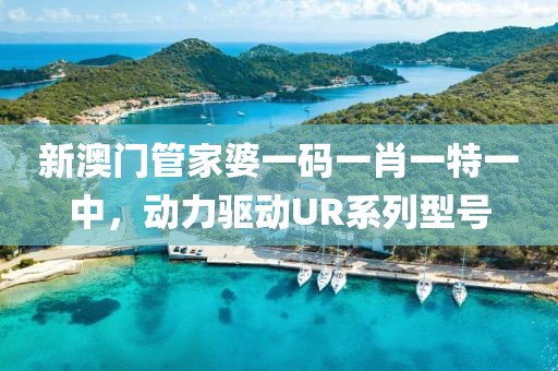 新澳门管家婆一码一肖一特一中，动力驱动UR系列型号