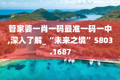 管家婆一肖一码最准一码一中,深入了解_“未来之境”5803.1687