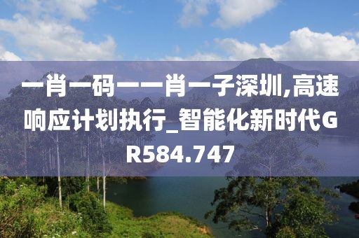 一肖一码一一肖一子深圳,高速响应计划执行_智能化新时代GR584.747