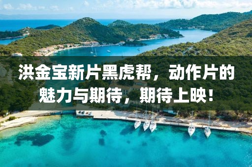 洪金宝新片黑虎帮，动作片的魅力与期待，期待上映！
