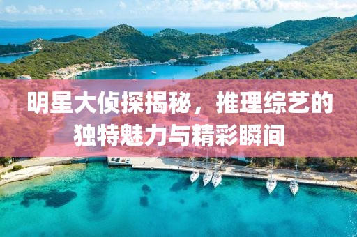 明星大侦探揭秘，推理综艺的独特魅力与精彩瞬间