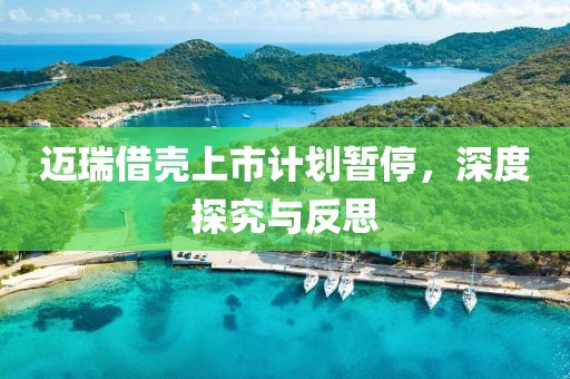 迈瑞借壳上市计划暂停，深度探究与反思