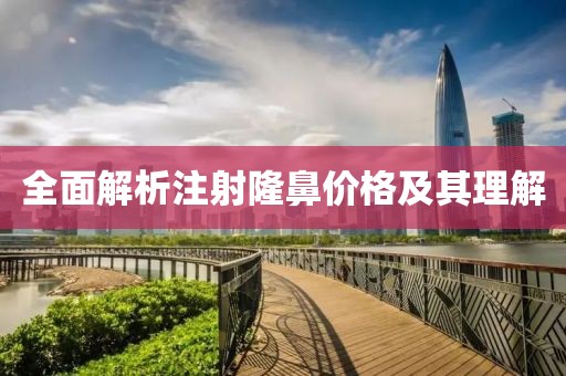 全面解析注射隆鼻价格及其理解