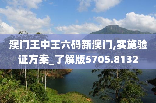 澳门王中王六码新澳门,实施验证方案_了解版5705.8132