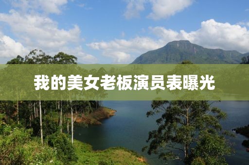 我的美女老板演员表曝光