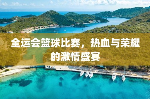 全运会篮球比赛，热血与荣耀的激情盛宴