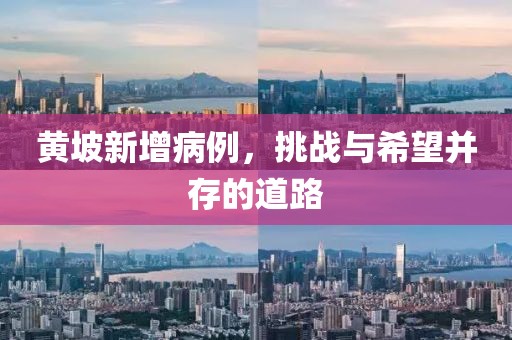 黄坡新增病例，挑战与希望并存的道路