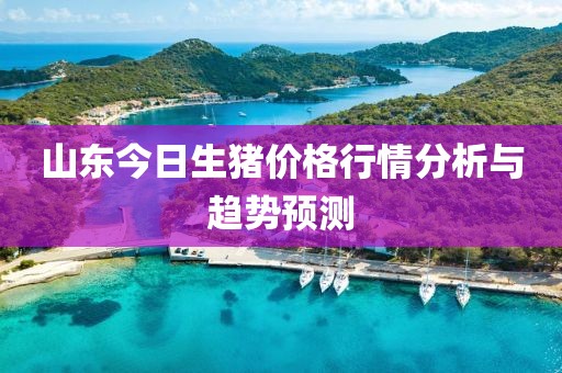 山东今日生猪价格行情分析与趋势预测