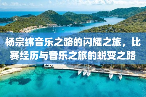 杨宗纬音乐之路的闪耀之旅，比赛经历与音乐之旅的蜕变之路