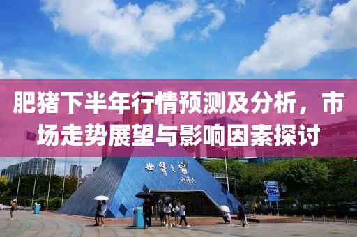 肥猪下半年行情预测及分析，市场走势展望与影响因素探讨
