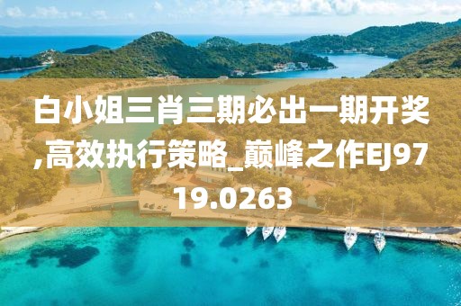 白小姐三肖三期必出一期开奖,高效执行策略_巅峰之作EJ9719.0263