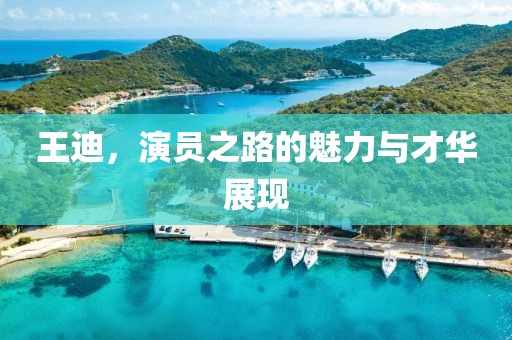 王迪，演员之路的魅力与才华展现