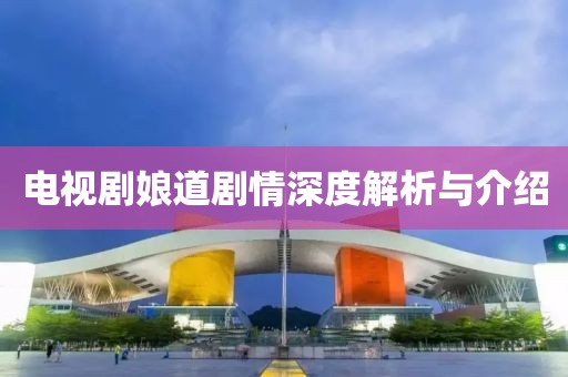 电视剧娘道剧情深度解析与介绍