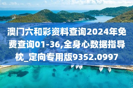 澳门六和彩资料查询2024年免费查询01-36,全身心数据指导枕_定向专用版9352.0997