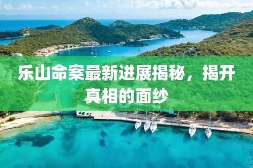 乐山命案最新进展揭秘，揭开真相的面纱