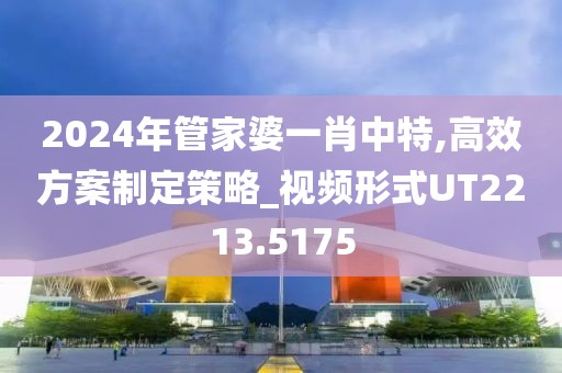 2024年管家婆一肖中特,高效方案制定策略_视频形式UT2213.5175